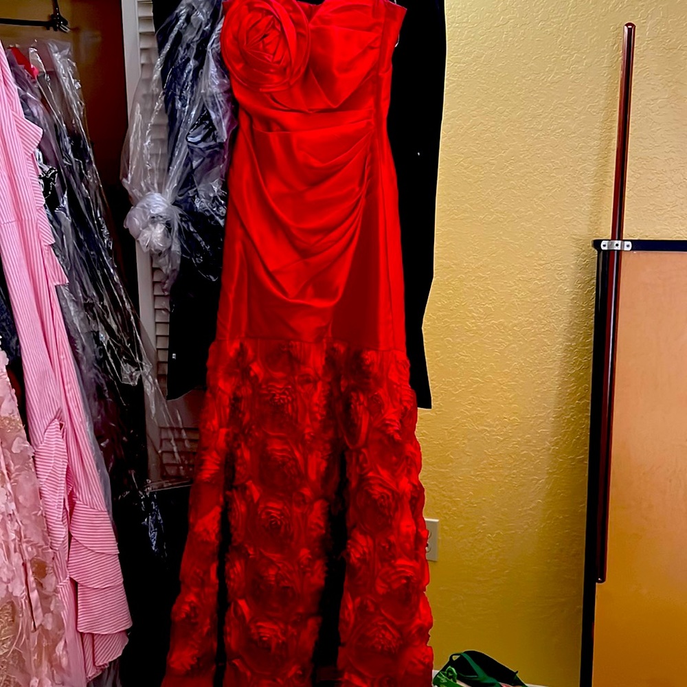 ❤️❤️❤️STUNNING RED ROSE GOWN